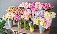 FloristeríaJardinflor-21